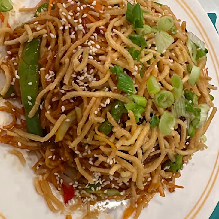 Veg Hakka Noodles